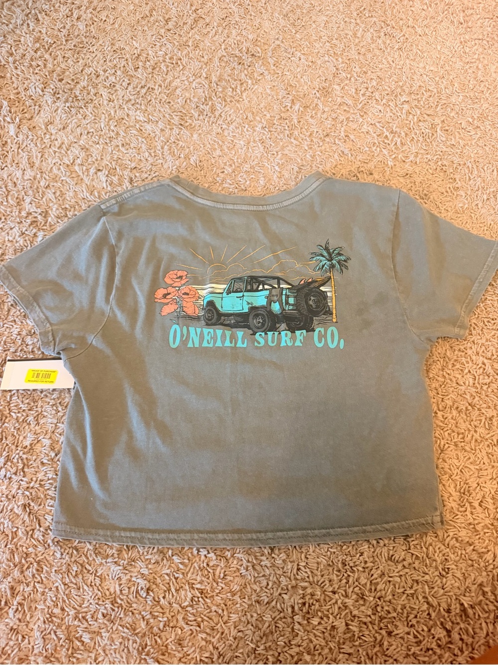 O'Neill Gray Short Sleeve Graphic Tee with Teal Surf Truck